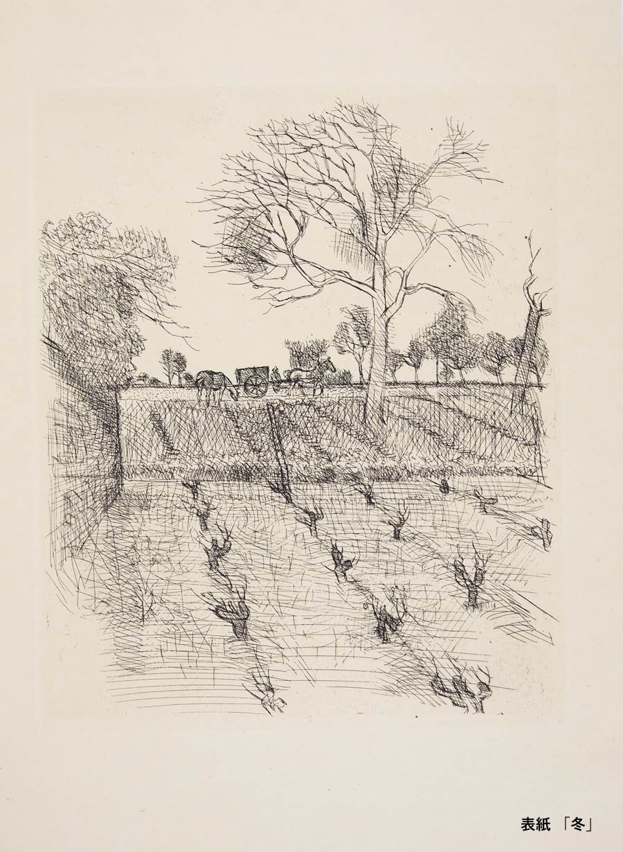 �⡼�ꥹ���֥ꥢ�󥷥�󡡡ز�����ƺȪ��ᤰ�äơ�