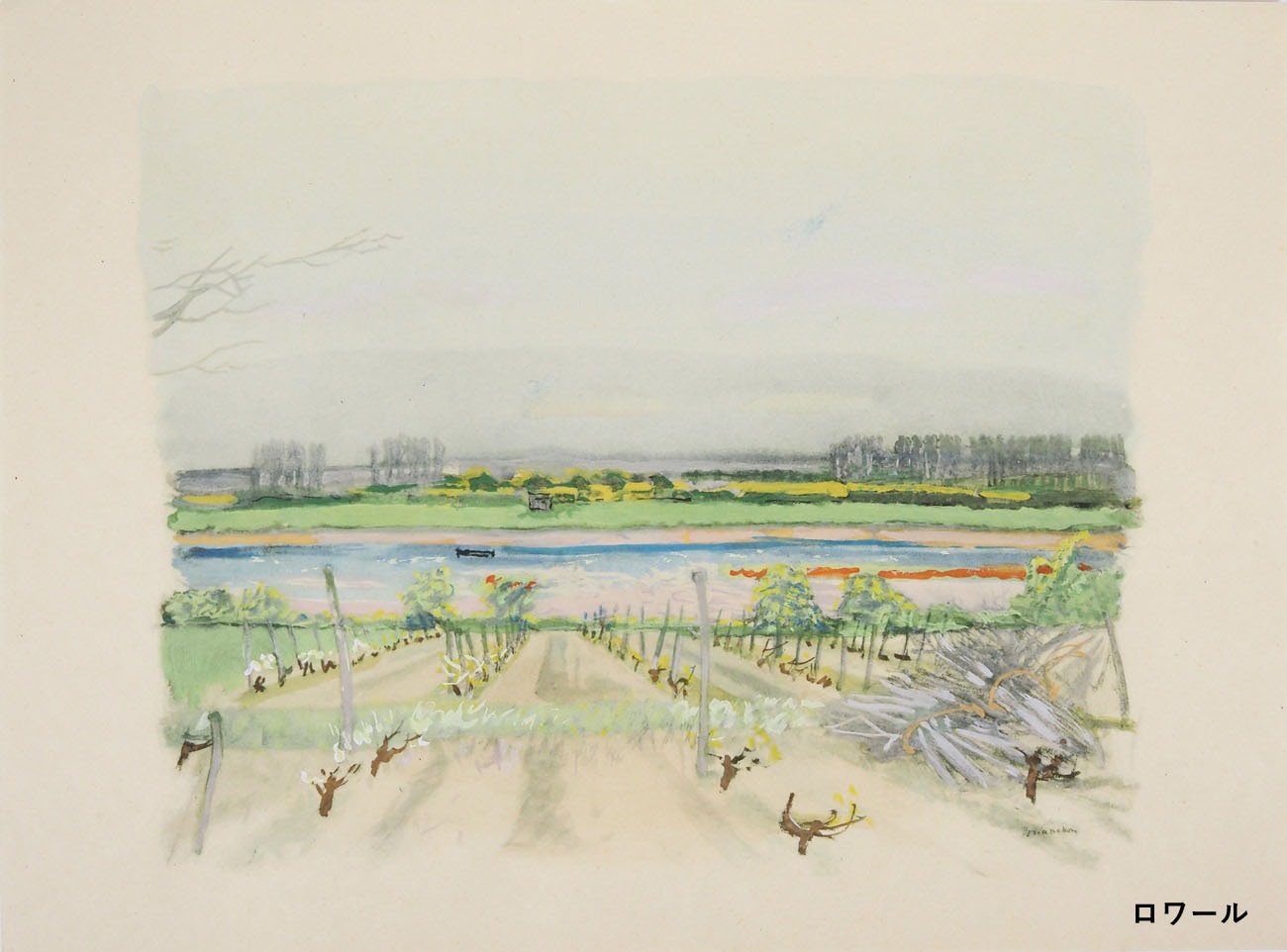 �⡼�ꥹ���֥ꥢ�󥷥�󡡡ز�����ƺȪ��ᤰ�äơ�