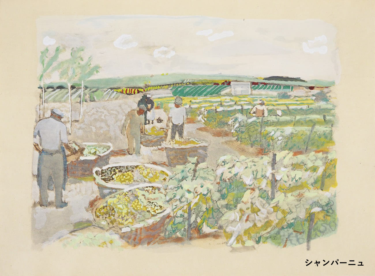 �⡼�ꥹ���֥ꥢ�󥷥�󡡡ز�����ƺȪ��ᤰ�äơ�