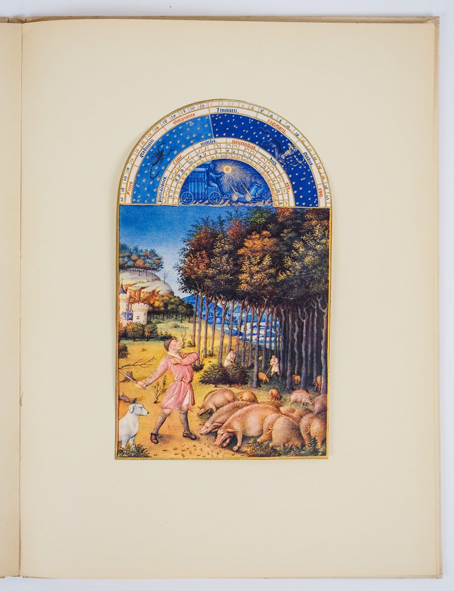 ����ʸ�ݻ�إ��������07�� -�٥꡼���Τ��Ȥ��ڤʤ��������-