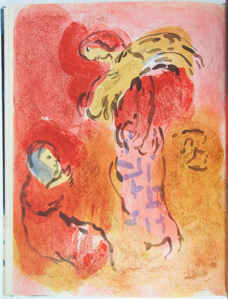 ʸݻإ3738桡-ΤΥǥå-