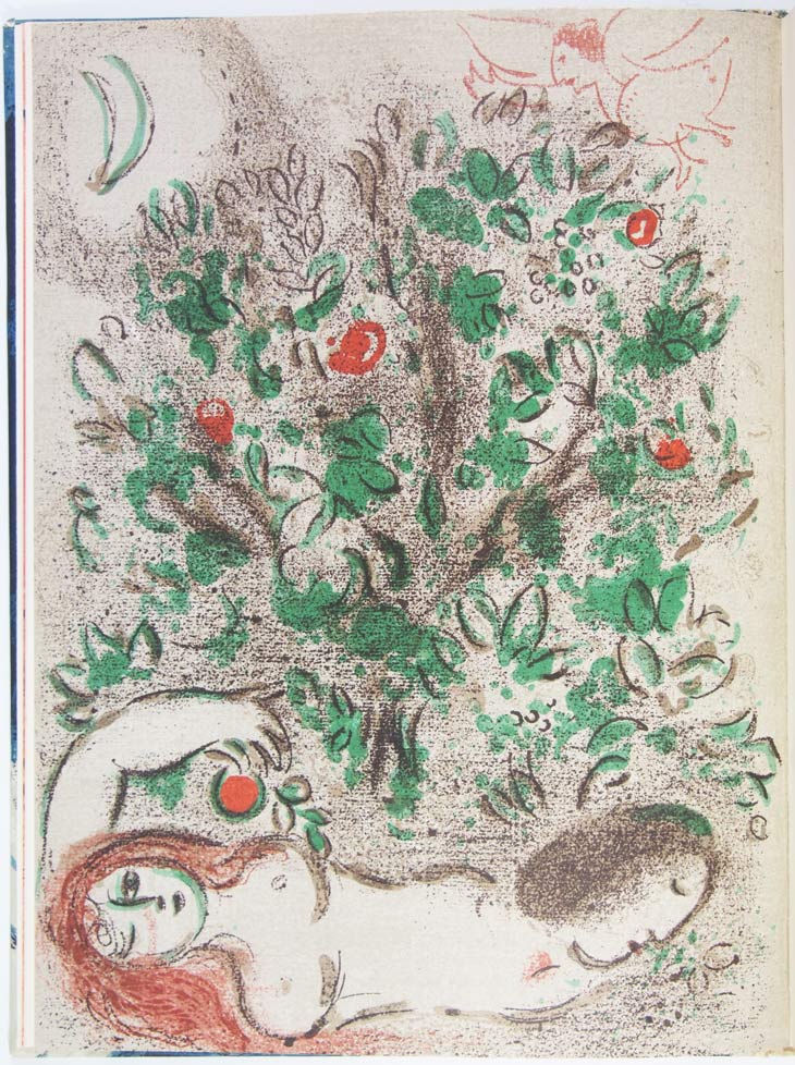 ʸݻإ3738桡-ΤΥǥå-