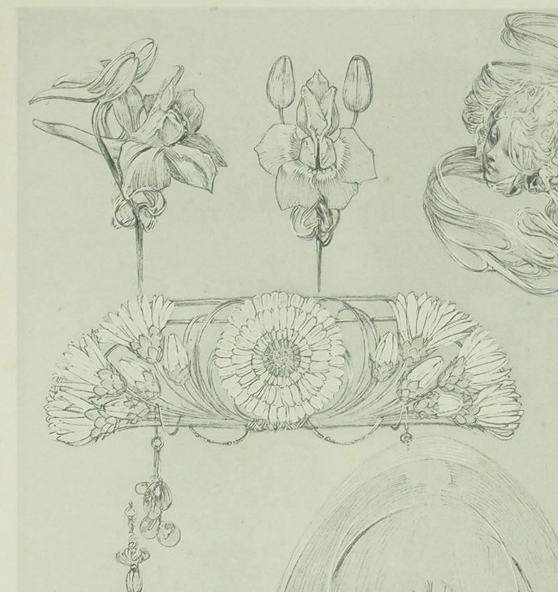 ����ե��󥹡��ߥ奷�㡡��������������PL.50��