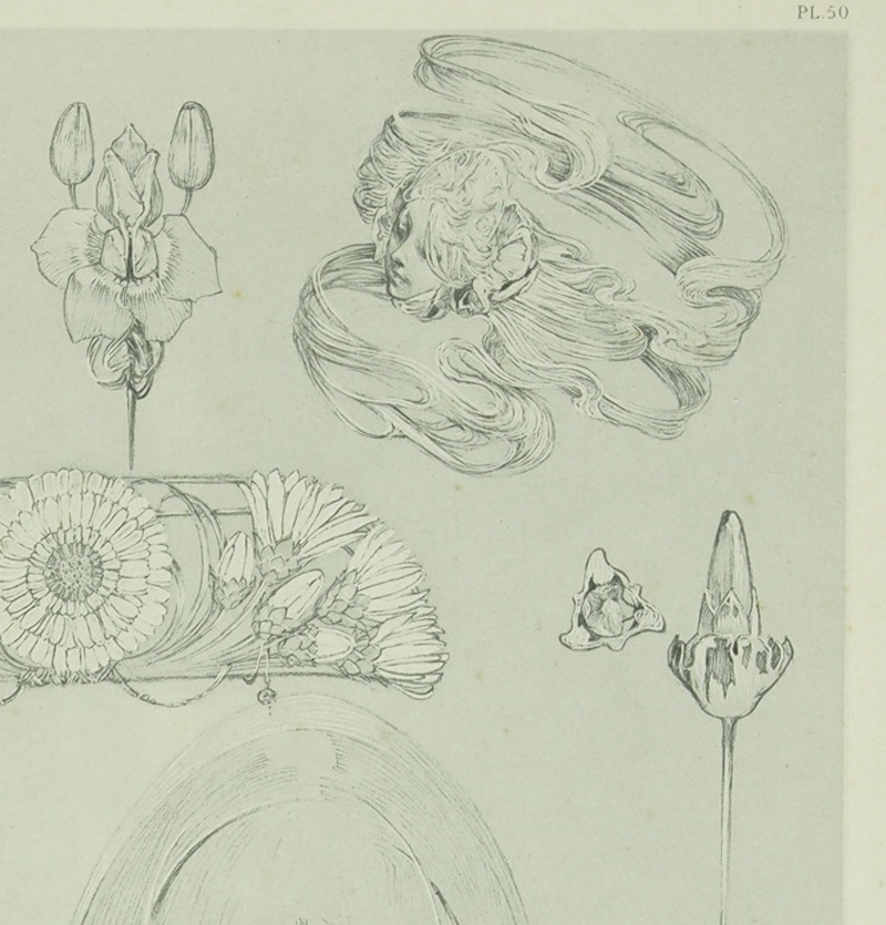 ����ե��󥹡��ߥ奷�㡡��������������PL.50��