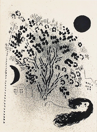 �ޥ륯�����㥬���롡�֤�������ʥ�Υ����ˡ�