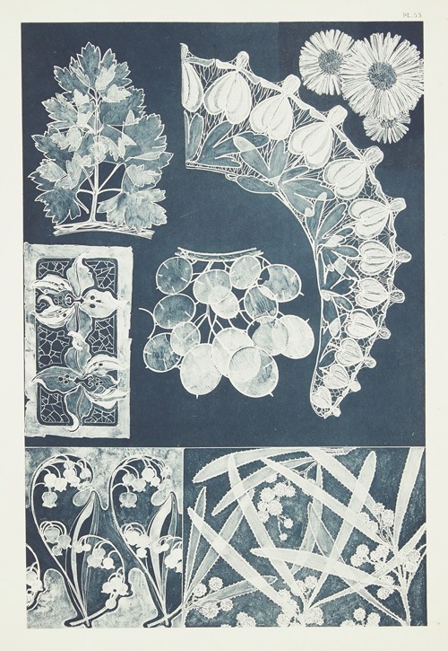 ����ե��󥹡��ߥ奷�㡡��������������PL.53��