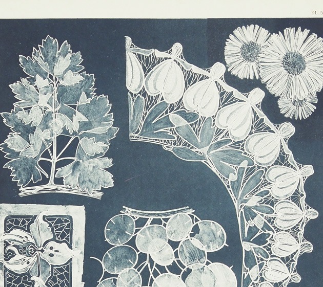 ����ե��󥹡��ߥ奷�㡡��������������PL.53��