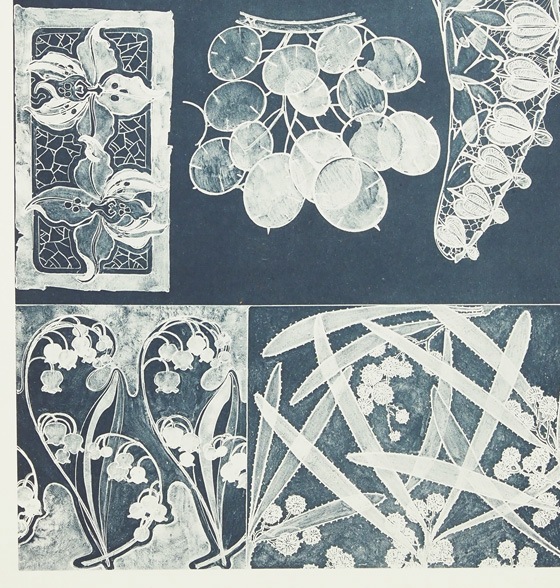 ����ե��󥹡��ߥ奷�㡡��������������PL.53��