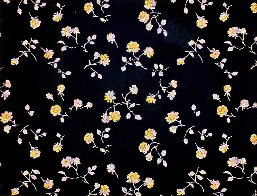 �饦�롦�ǥ�ե����ֲ֤Υ���ݥ������ʹ��ϡˡ�