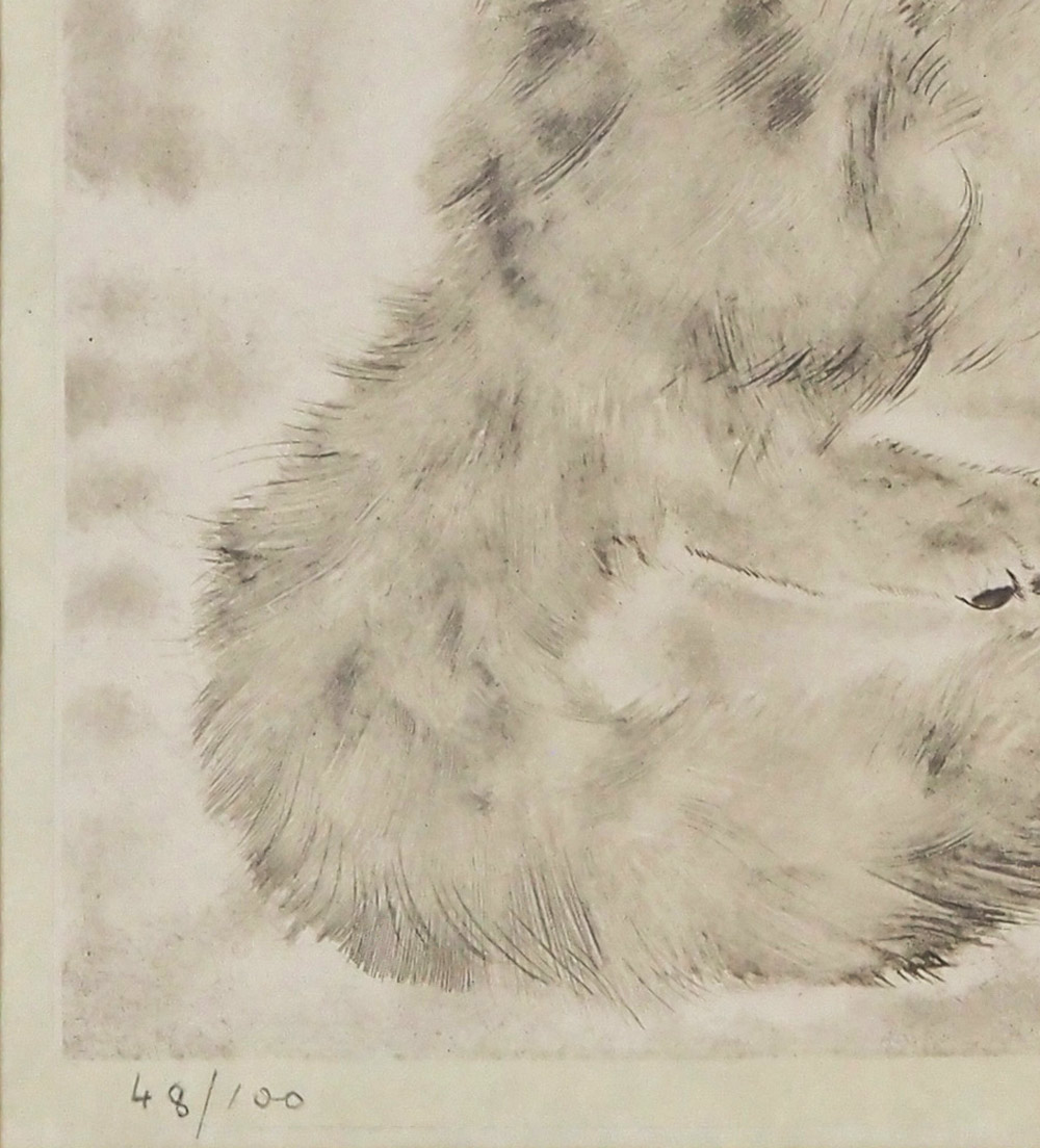 藤田嗣治　猫　額　銅版画　エッチング　シャーマンコレクション 藤田嗣治 『猫』 / エッチング 銅版画 / シャーマンコレクション