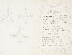 ����ꡦ�ޥƥ�������CHANSON��P.80,77�ʸ������ˡ�΢�̡�P.78,79���ա�
