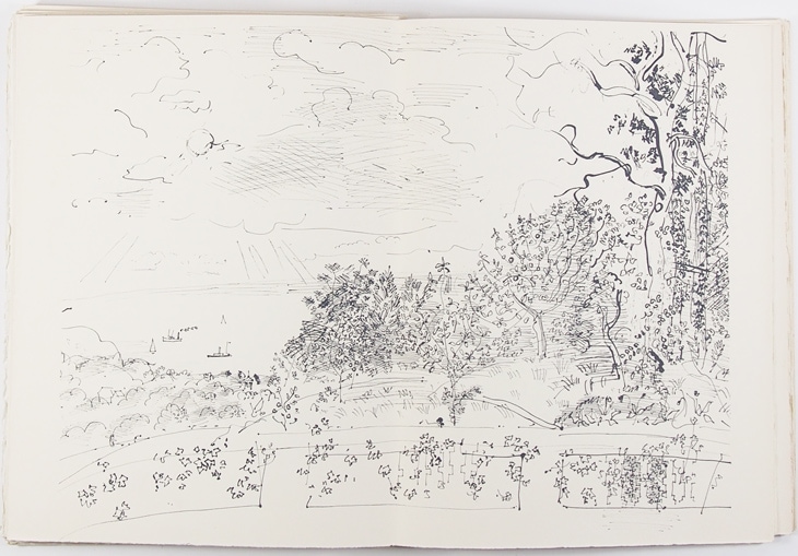 �饦�롦�ǥ�ե����޲��ܡإΥ�ޥ�ǥ����γ��ߡ�