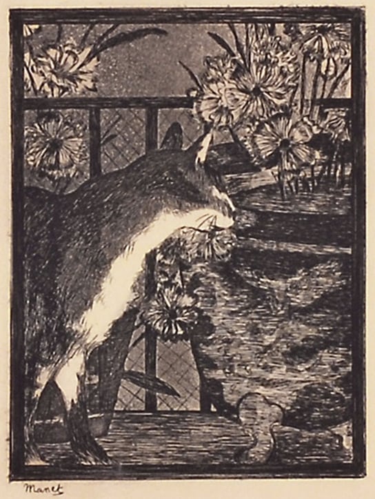 エドゥアール・マネ 「猫と花」 | | アトリエ・ブランカ