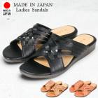  DIXGATE ǥ ߥ塼 ҡ  nc1210