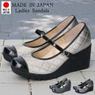 ������ ��ǥ����� �ѥ�ץ� �����å������� �ե������ȥ��󥿥��� nc49609