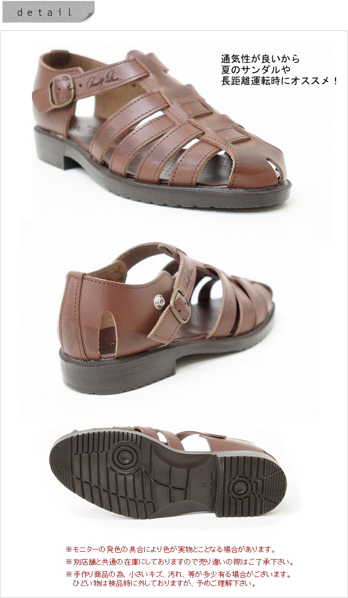 󥺥 ܳץ Υɥѡޡ ap6621