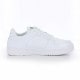 �����ԥ��� Champion �������å� ��� ��ǥ����� ���ˡ����� ������ �Х����å� ���ݡ��ĥ��塼�� �����奢�� �� ���� tmcpla035
