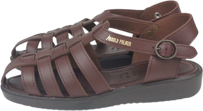 ̵ Բ Υɥѡޡ Arnold Palmer  ap6611