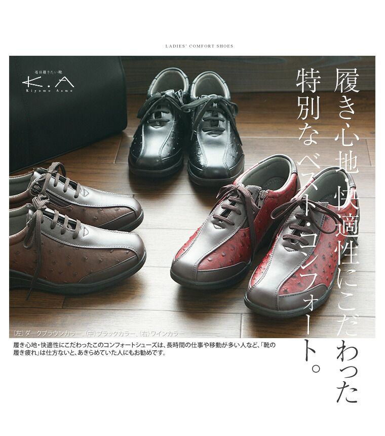 ����ե����ȥ��塼�� ��ǥ����� 3e htc250