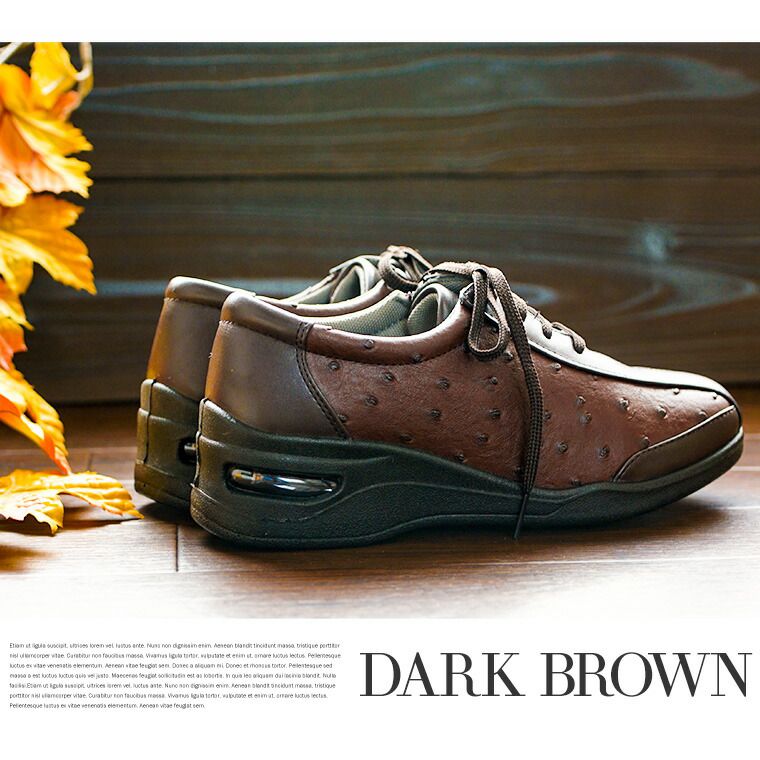 ����ե����ȥ��塼�� ��ǥ����� 3e htc250