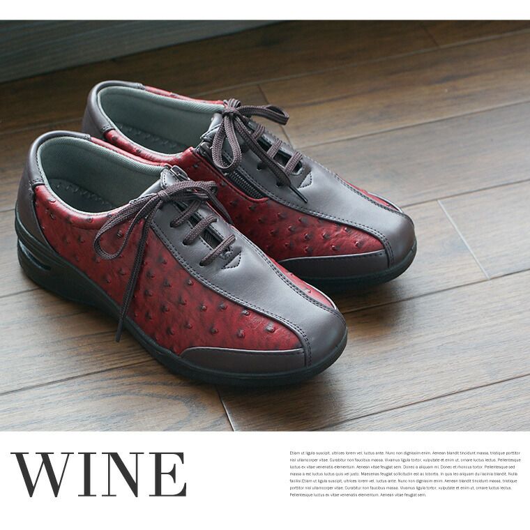 ����ե����ȥ��塼�� ��ǥ����� 3e htc250