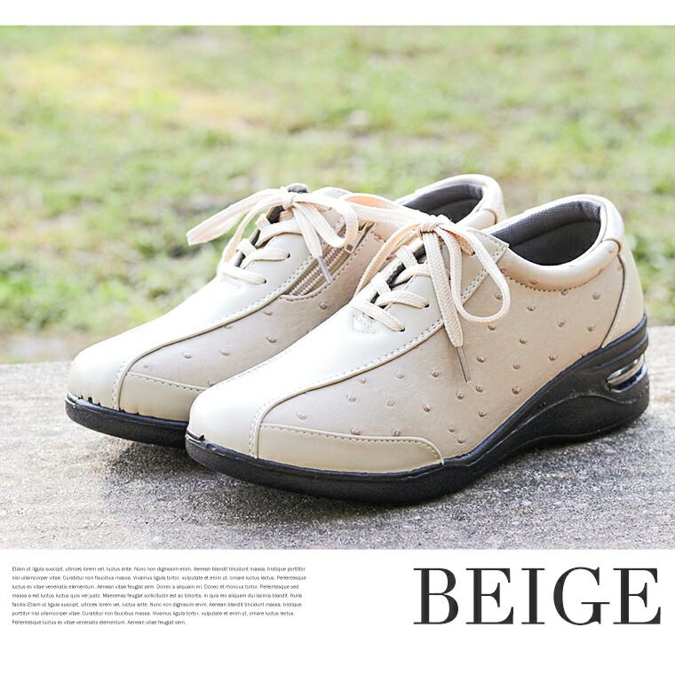 ����ե����ȥ��塼�� ��ǥ����� 3e htc250