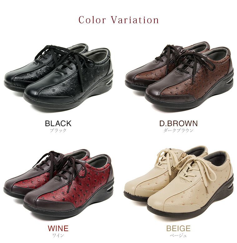 ����ե����ȥ��塼�� ��ǥ����� 3e htc250