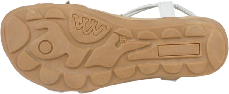 ������� ���ȥ�å� ��ǥ����� �ե�å� tk11077