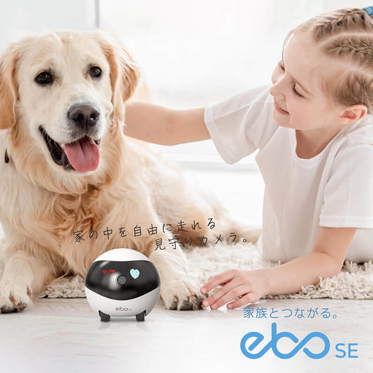 Enabot EBO X ホームロボット ペットカメラ EBO X｜enabot・ペットロボット・AIロボット｜株式会社Acalie