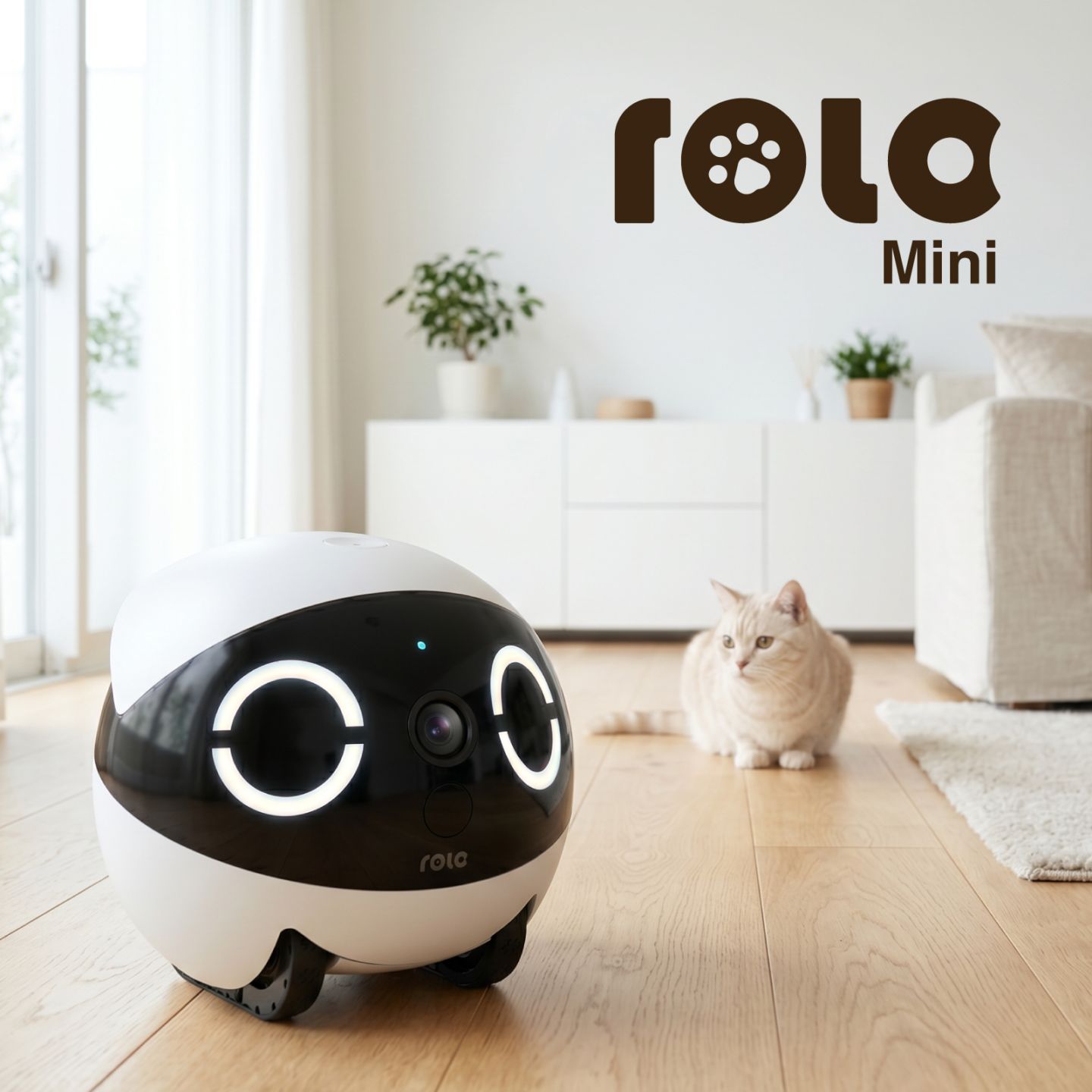 ROLA Mini｜ペット見守りカメラ