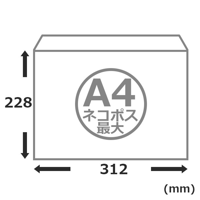 15۸ B5(312228+40mm) 椦ѥå/åݥ/ͥݥ祵 ӥͥ쥿 ơ 