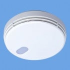 �ѥʥ��˥å������������ SHKN48455