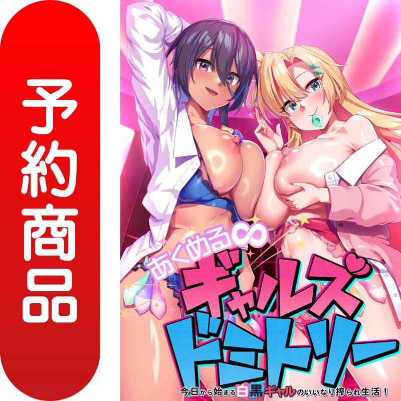 ͽۤ祮륺ɥߥȥ꡼DVD-PG