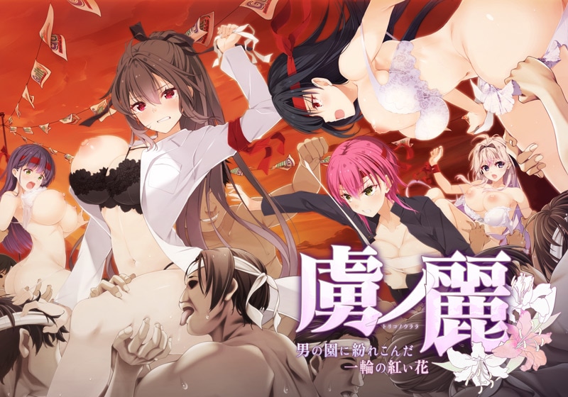 κ���DVD-PG