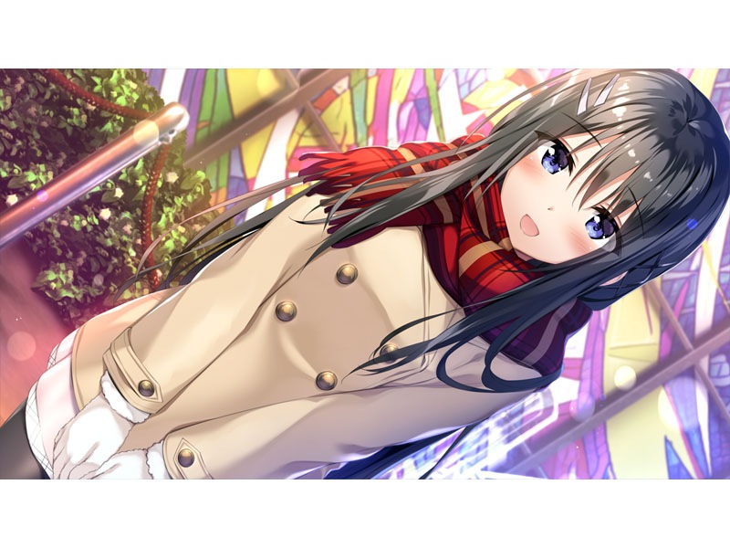 �������ȥС�DVD-PG