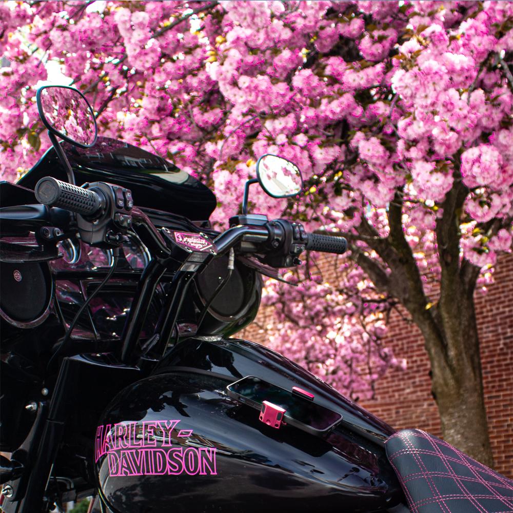 FREAKMOUNT 2.0 #CHERRY PINK