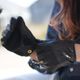 TYPE VG26P SHORT PUNCHING GLOVES