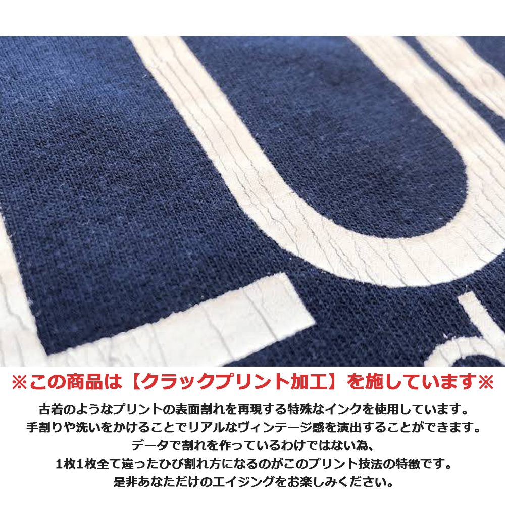 VINTAGE EAGLE BIG SILHOUETTE S/S TEE - CRACK PRINT - (新色追加)