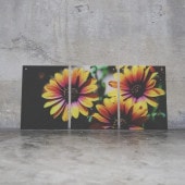 Lサイズ3連セット(たて型）