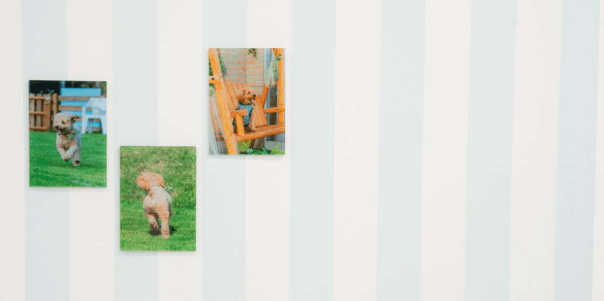 ミニサイズ（たて型）