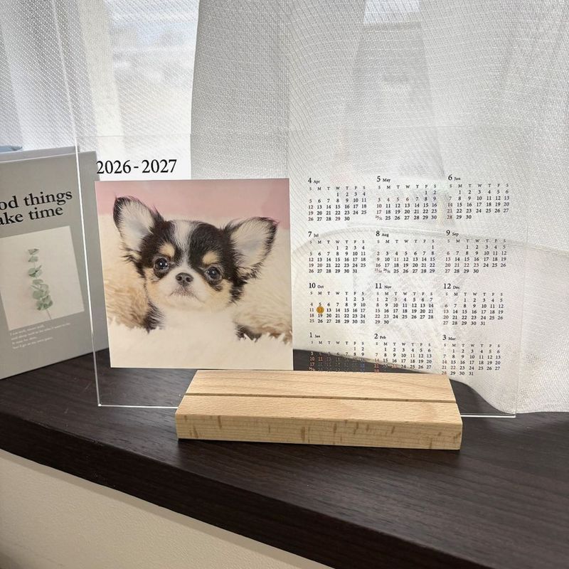 【2026年4月始まり】ミニサイズアクリルフォトカレンダー