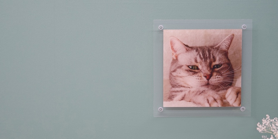 Mサイズ クリアフレーム