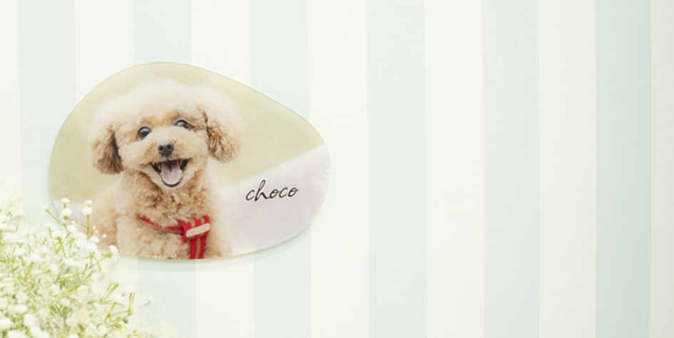 Lサイズ ウェーブ（Dタイプ）