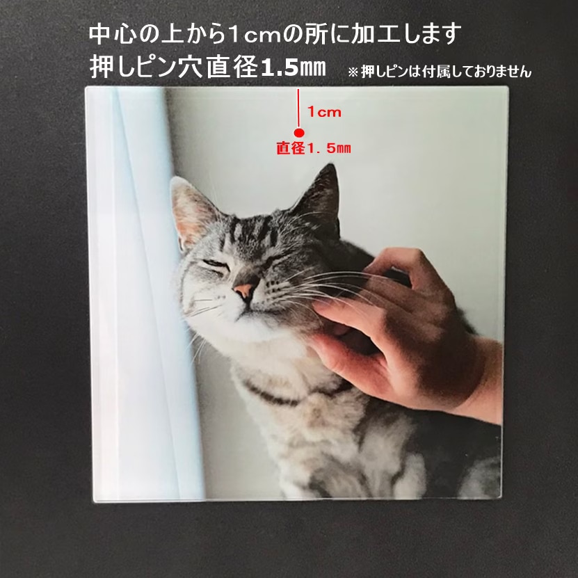 父の日限定デザイン ミニサイズ（たて型）