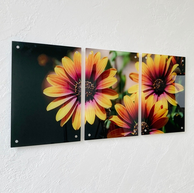 Lサイズ3連セット(たて型）