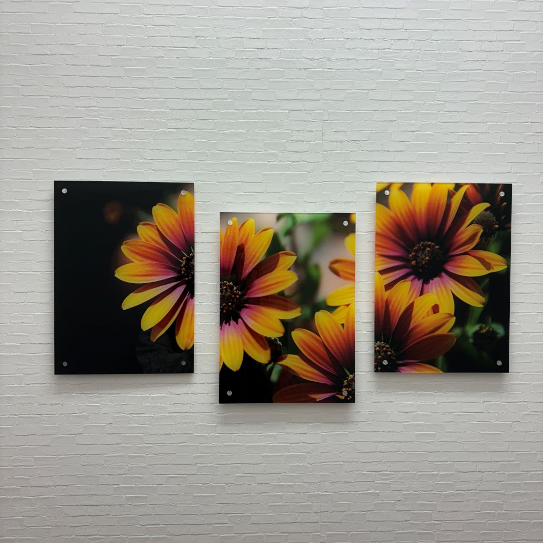 Lサイズ3連セット(たて型）