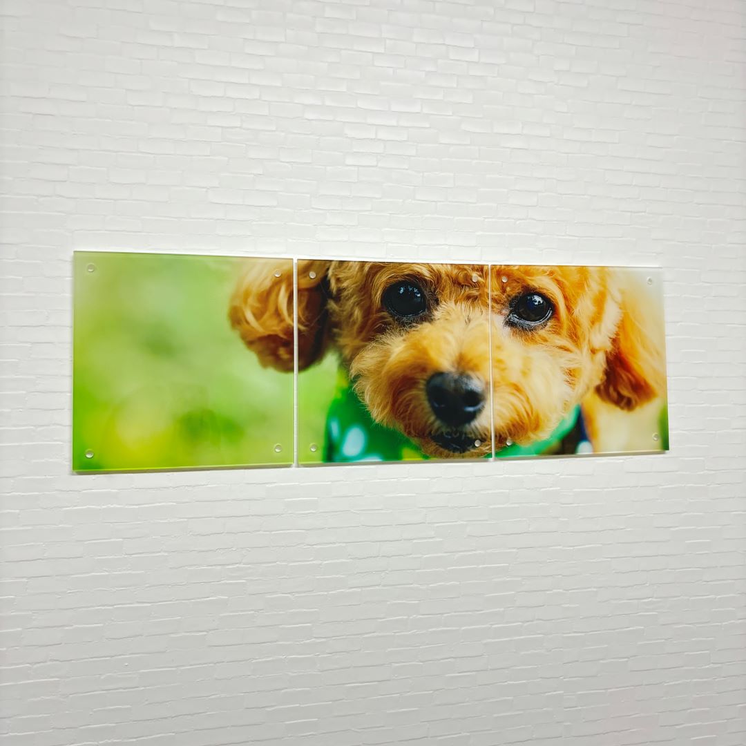 Mサイズ3連セット