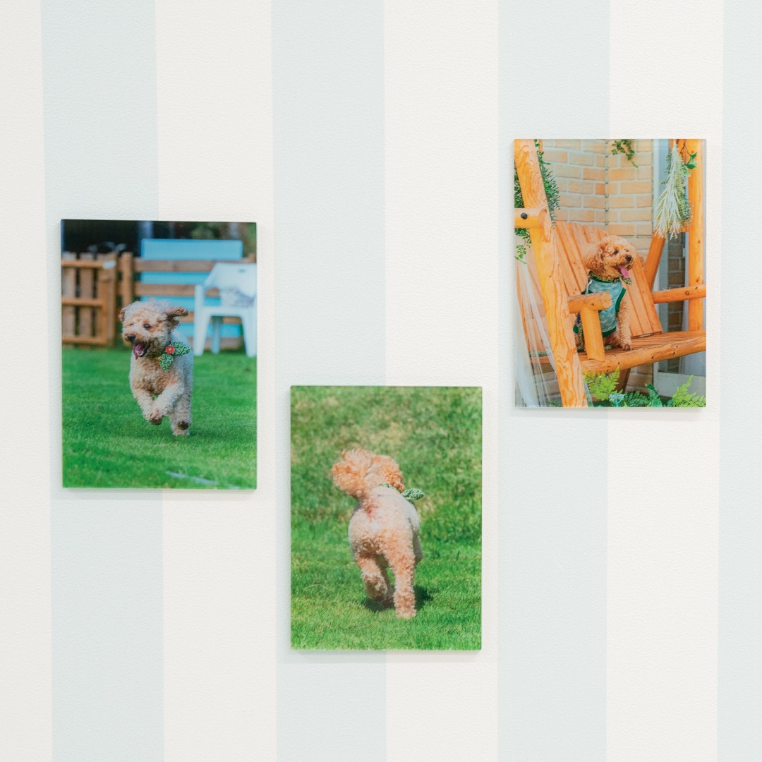 ミニサイズ（たて型）