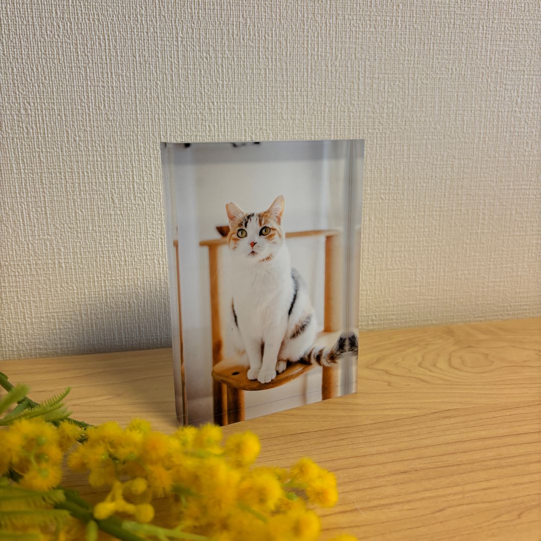 アクリルブロック（たて型）