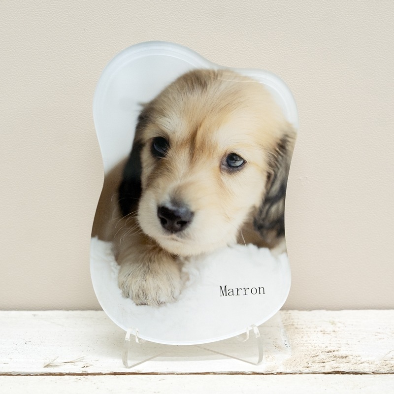 ミニサイズ ウェーブ（Bタイプ）